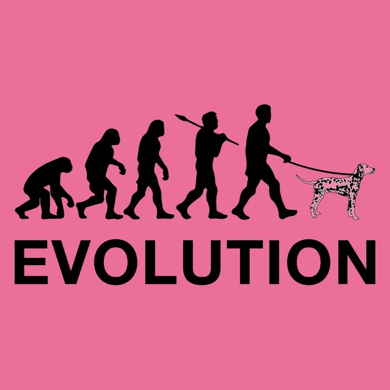 évolution