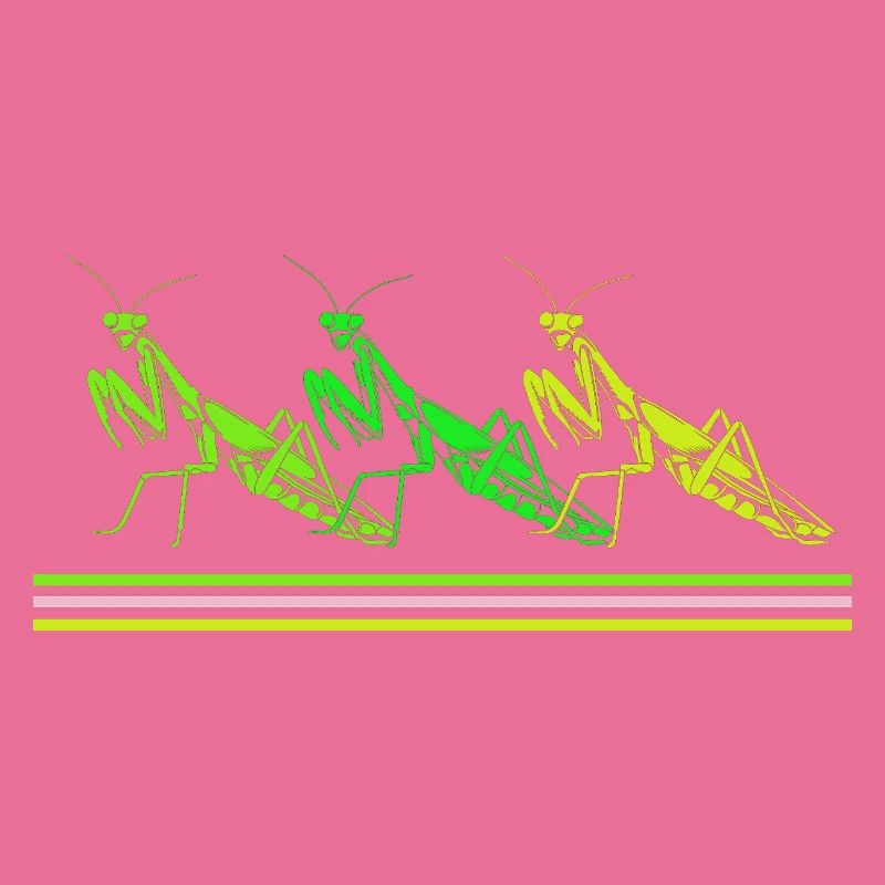 Mantis Gottesanbeter Gottesanbeterin