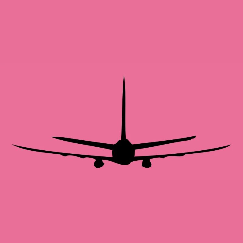 Flugzeug