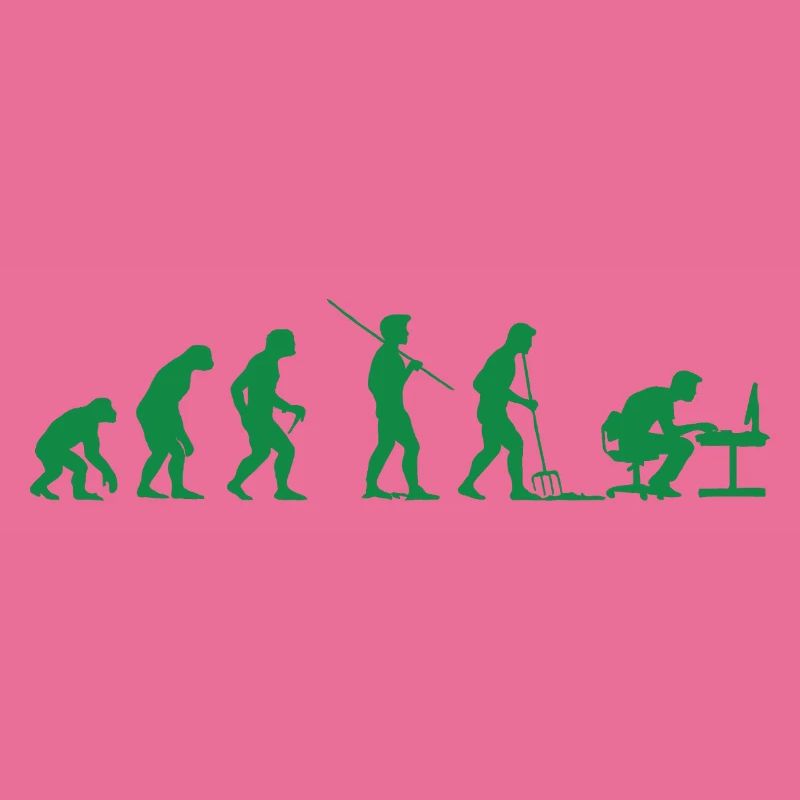 Programmeur Évolution Informaticien Développeur