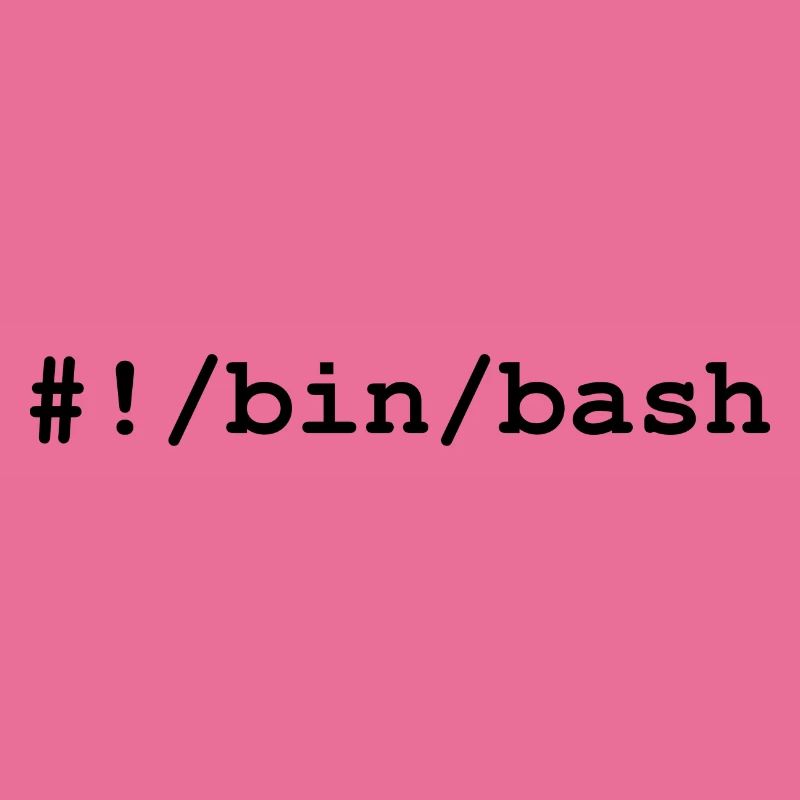 Shell bash / bourne-again sous Linux et Unix