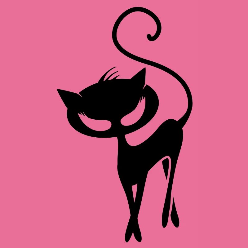 A black cat
