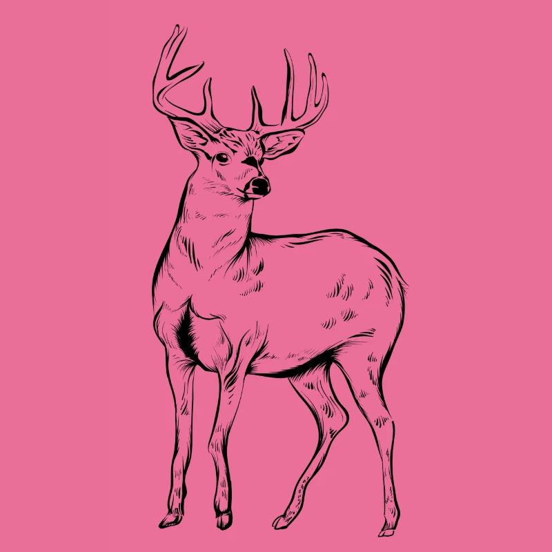 deer