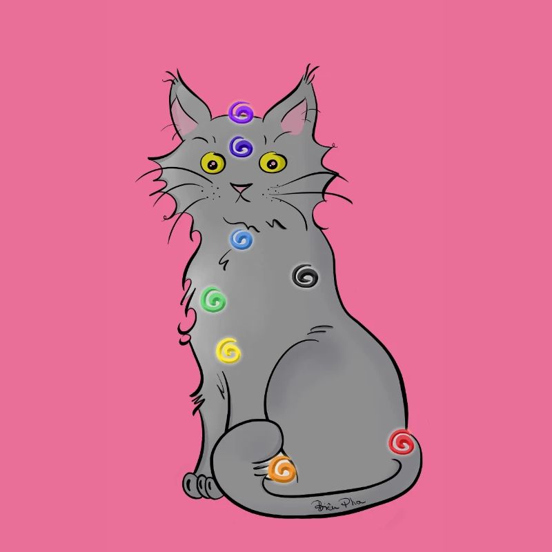 Chat-kra