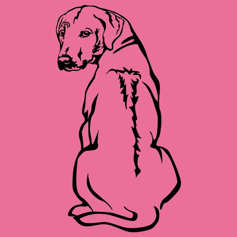 Rhodesian Ridgeback