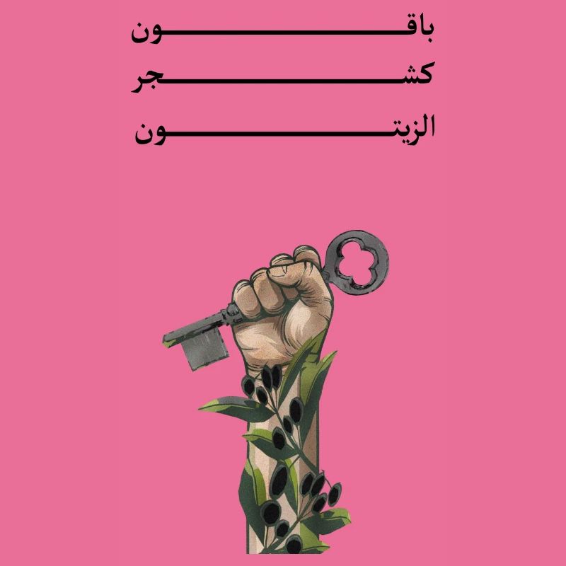 Solid like Oliven trees