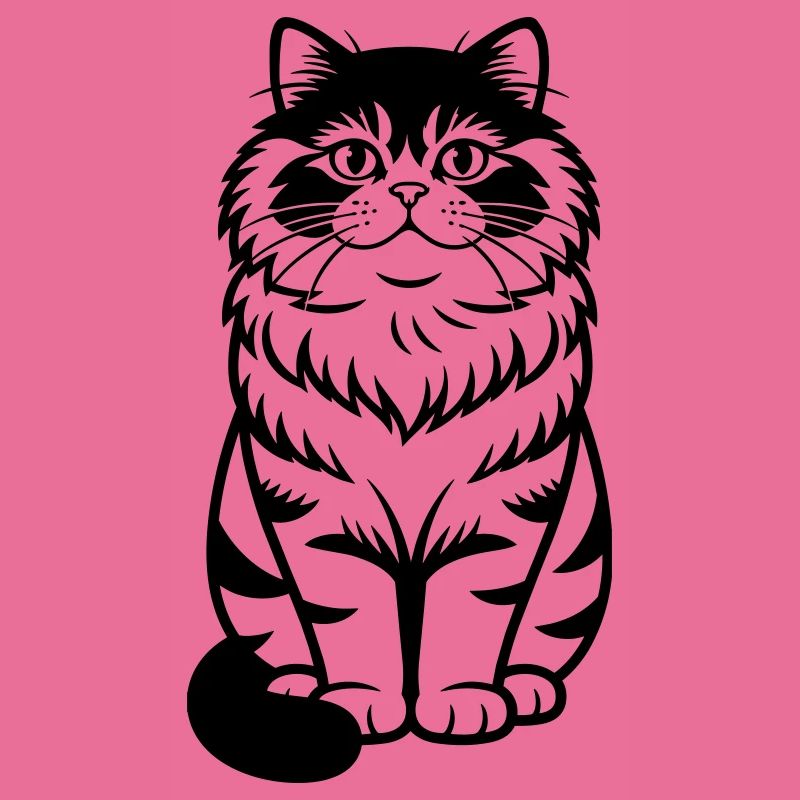 Chat persan