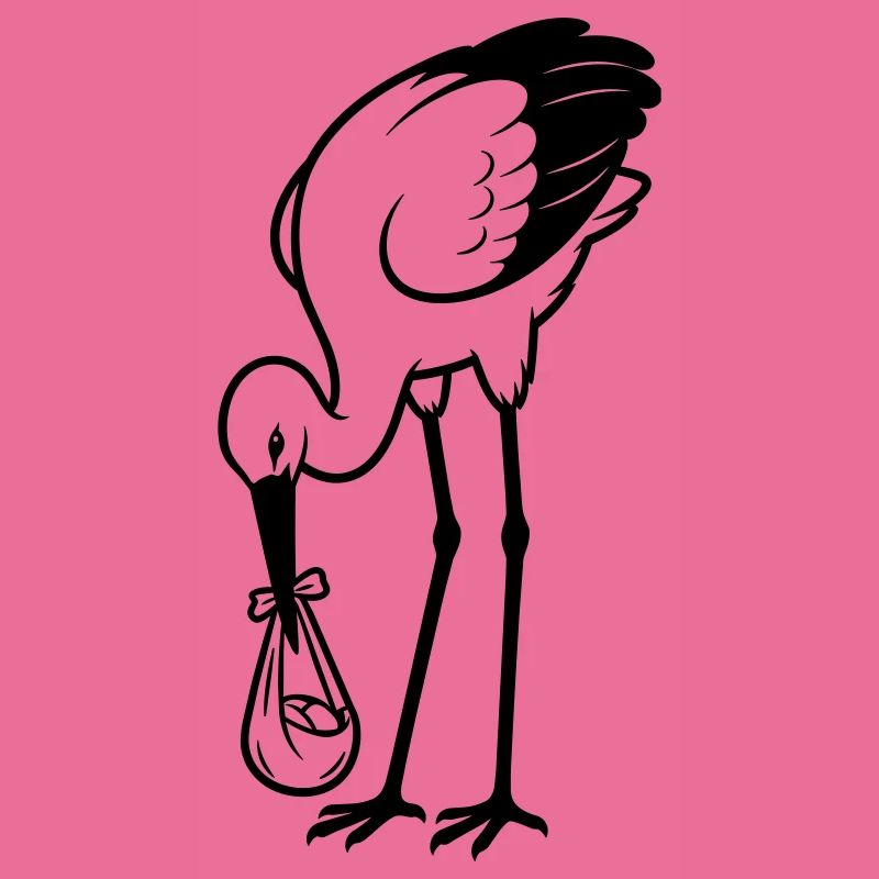 Bébé cigogne