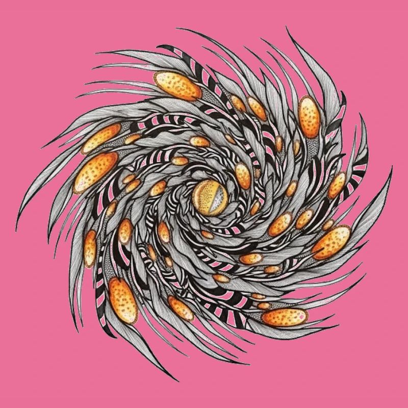 Spiral Spring Pattern