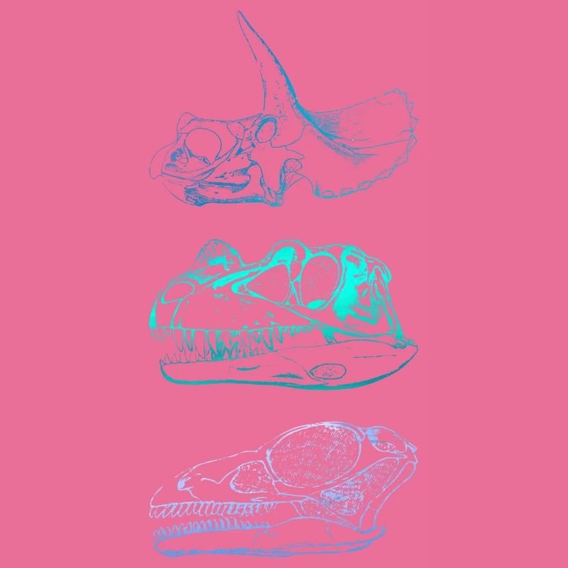 Dinosaur Skulls