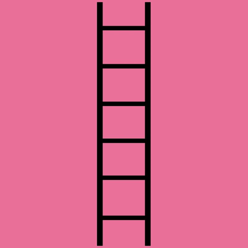 Ladder - Everyone needs a ladder