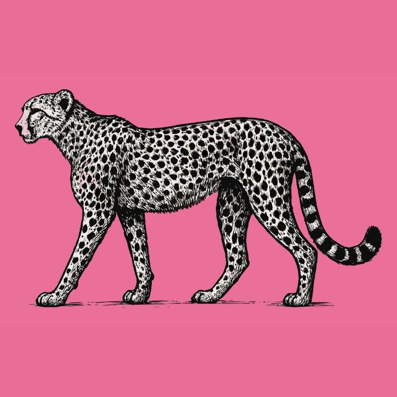 Black and White Leopard Pattern