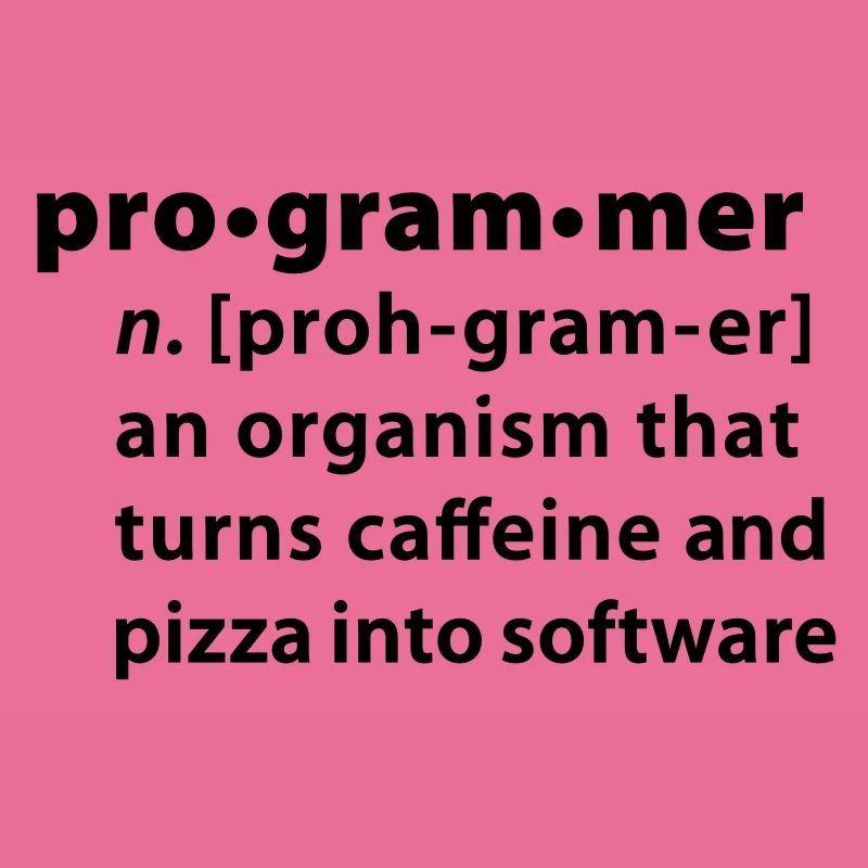 Programmer Wörterbuchdefinition