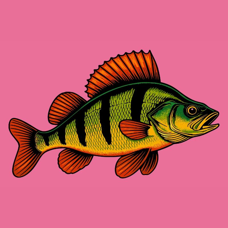 Perche Perche Perche Perche Perche Pêche Perche Perche