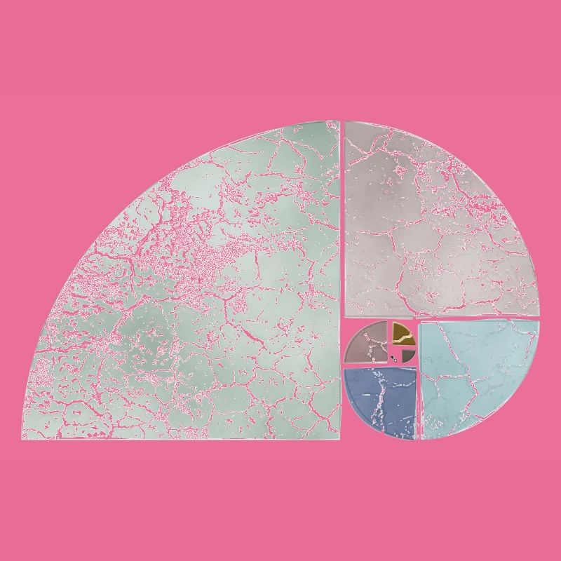 Fibonacci Spiral Sequence - Light Colored 1