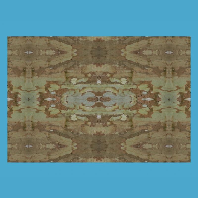 Decorative pattern based on tree bark