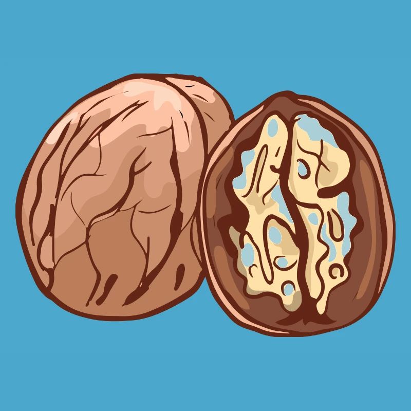 Real walnut nuts nut walnutwalnuts