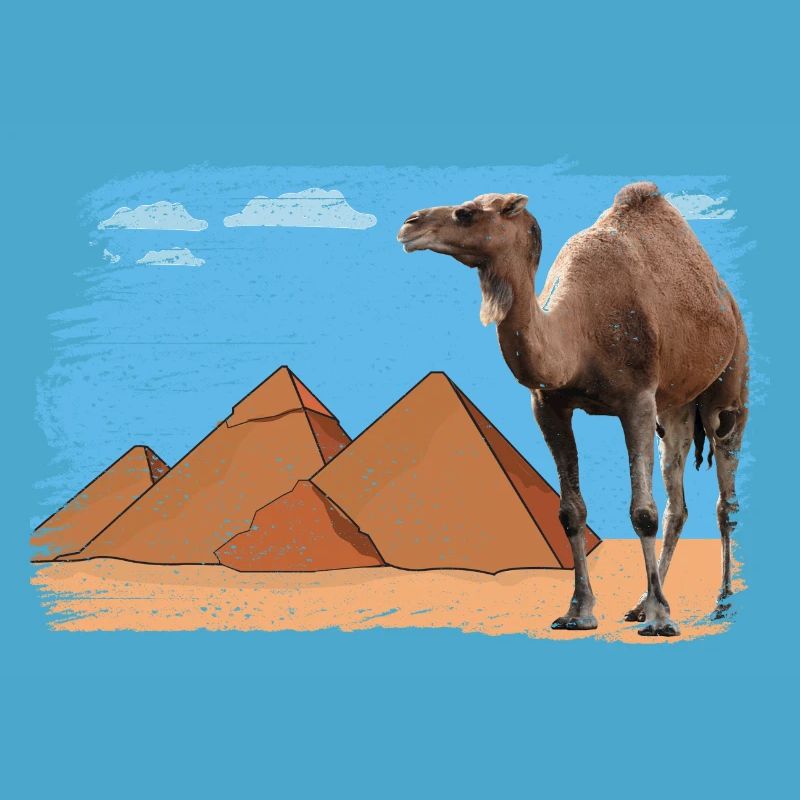 Chameau devant les pyramides