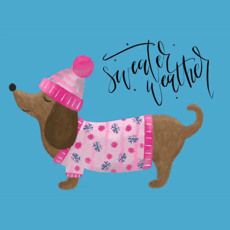 Teckel avec pull et chapeau Pull Météo rose