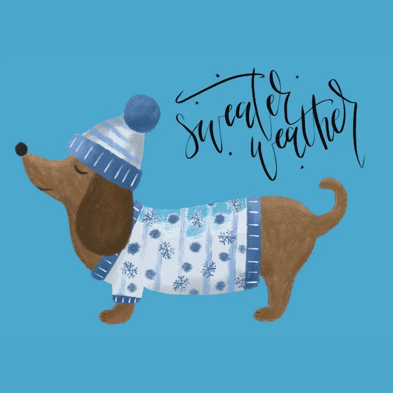 Teckel avec pull et chapeau Pull Météo bleu