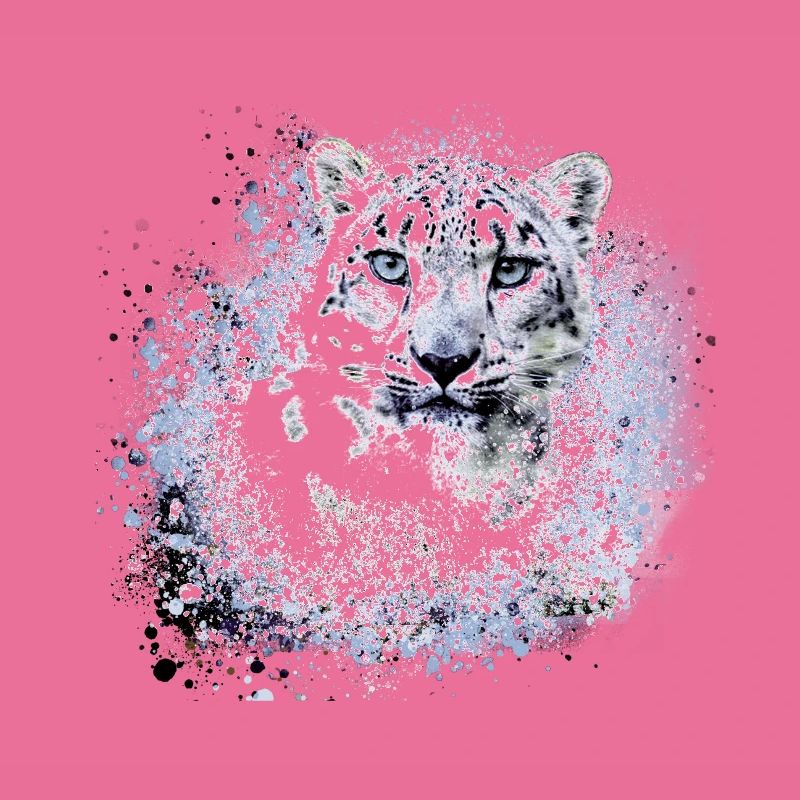 léopard de neige,chat,léopard,léopard,blanc,chat sauvage