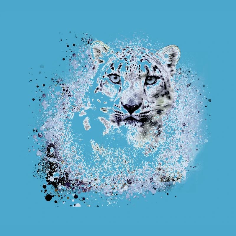 léopard de neige,chat,léopard,léopard,blanc,chat sauvage