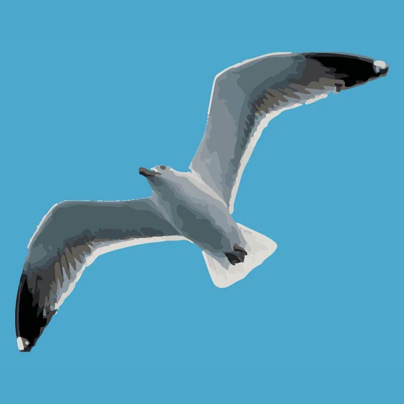 Möwe