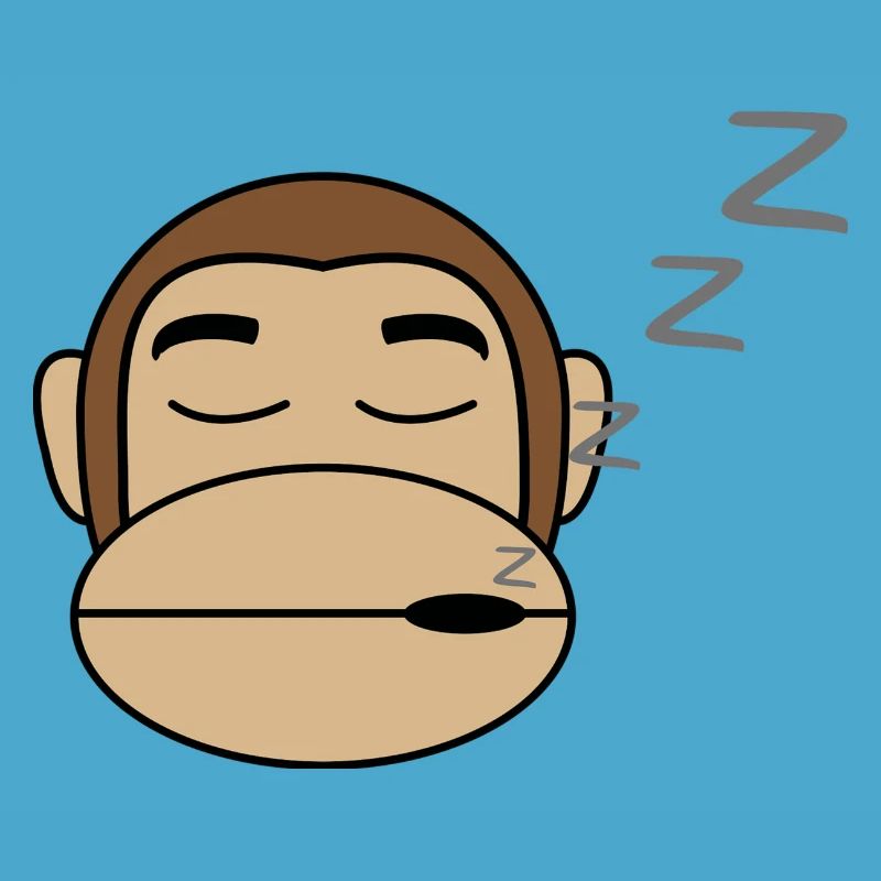 Monkey Sleeps Gift Idea