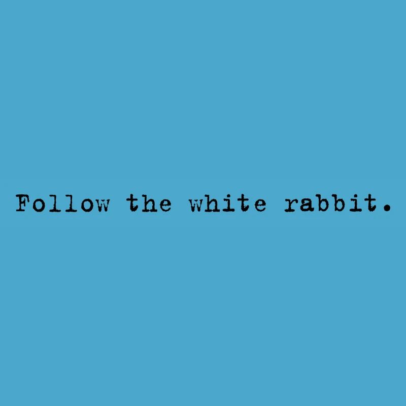 Follow the white rabbit Programming Computer Science