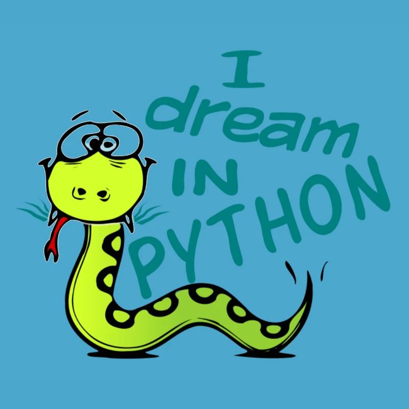 Python Programmierer