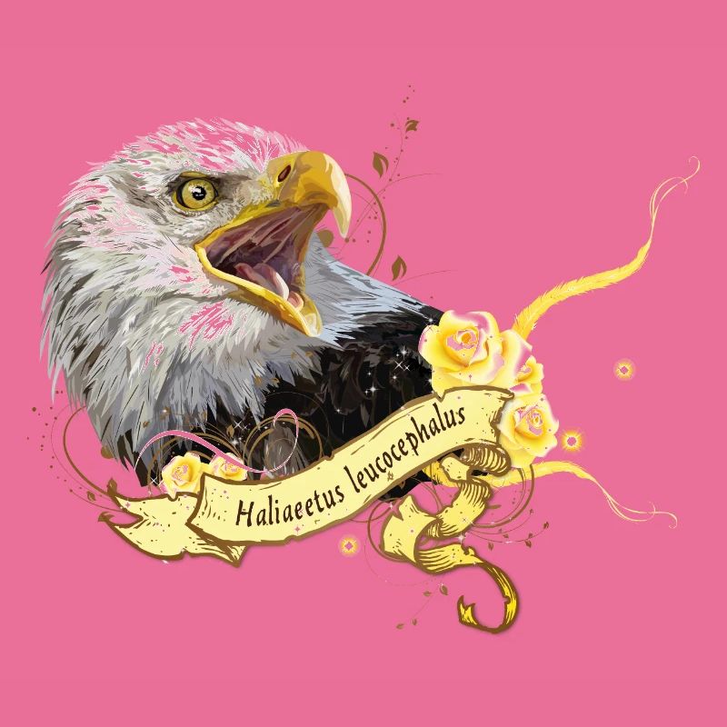 Bald eagle