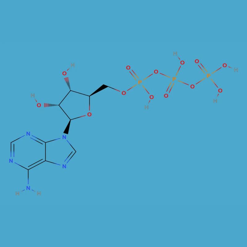 Molécule de triphosphate d’adénosine - Structur coloré