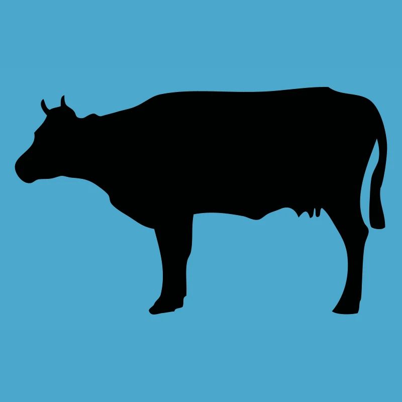 Vache