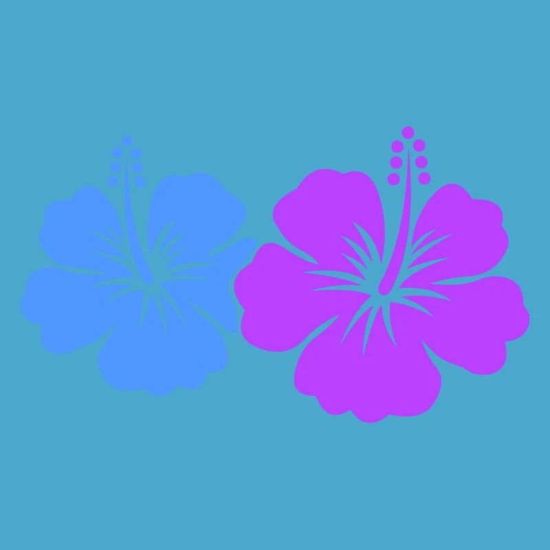 Fleur d’hibiscus