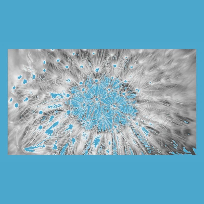 Dandelion, A731876