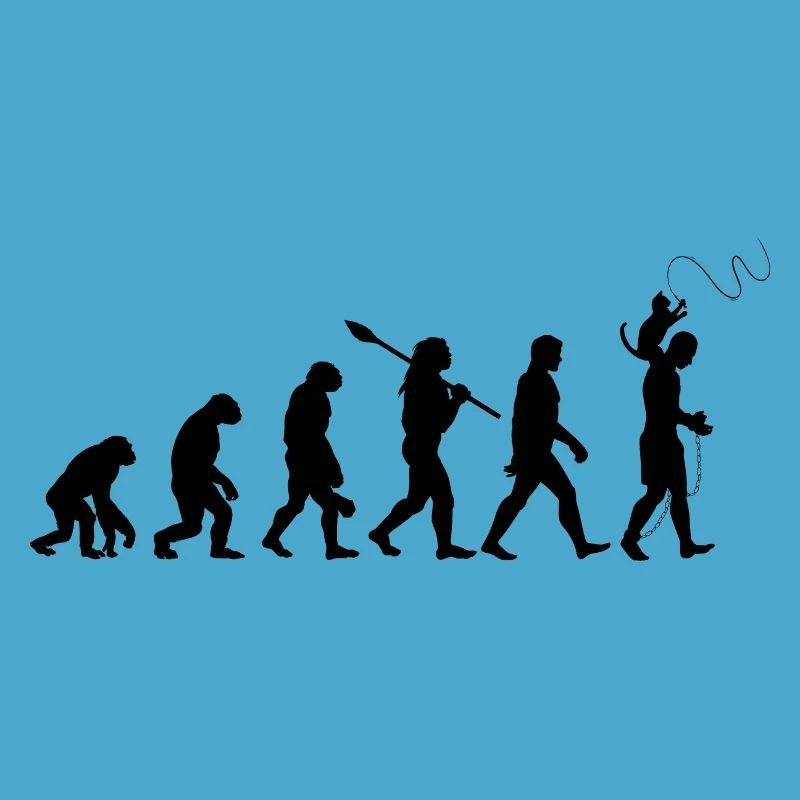 L'évolution du chat