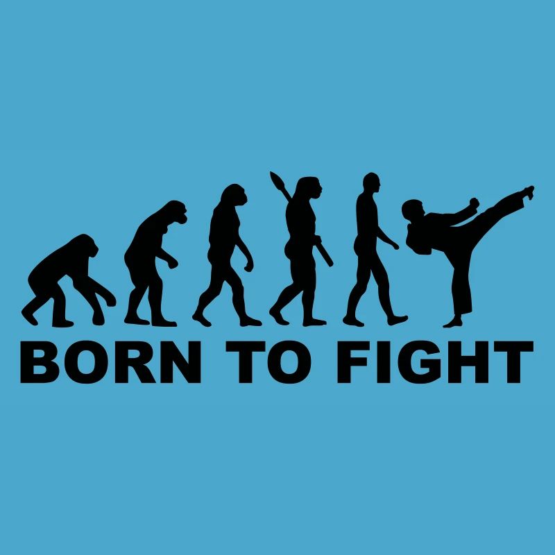 Evolution Karate