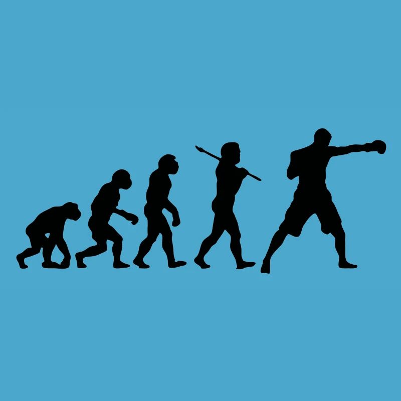 Boxing Evolution