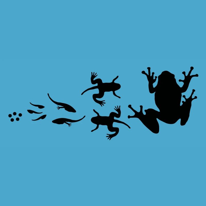 évolution-grenouille
