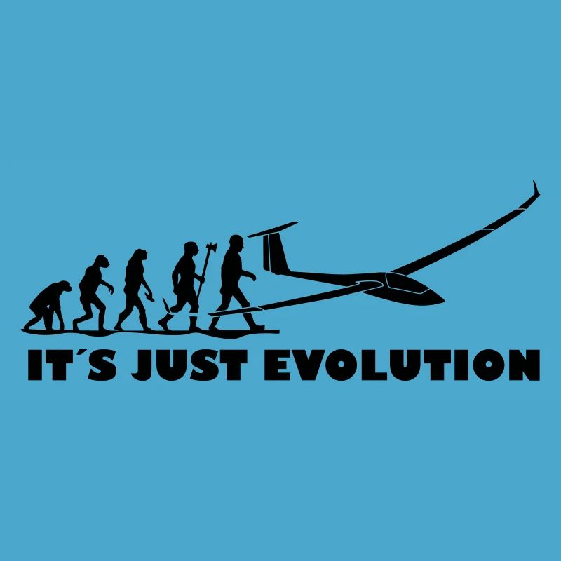 evolution segelfliegen
