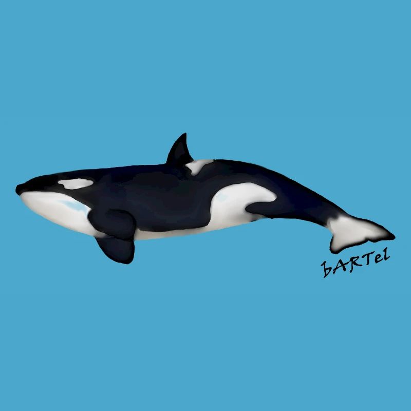 Orca 2