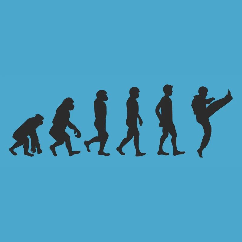 Evolution Karate