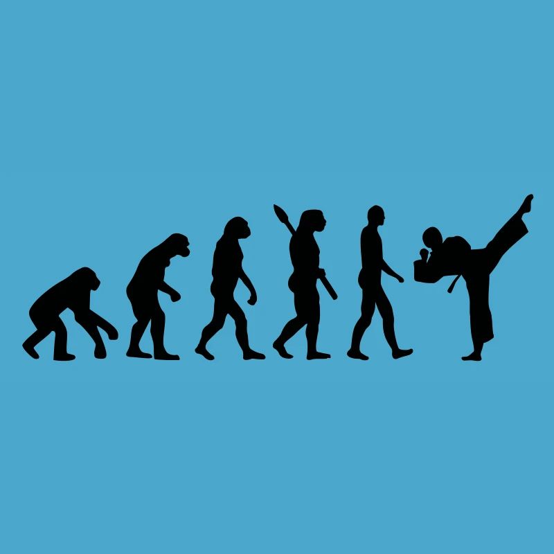 Evolution Karate