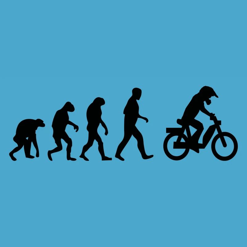 mofa evolution 15. Geburtstag