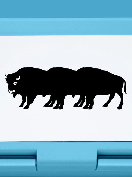 bisons