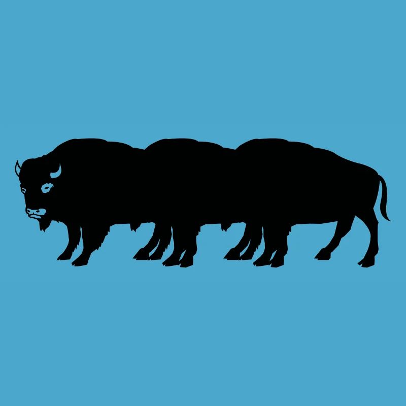 bisons