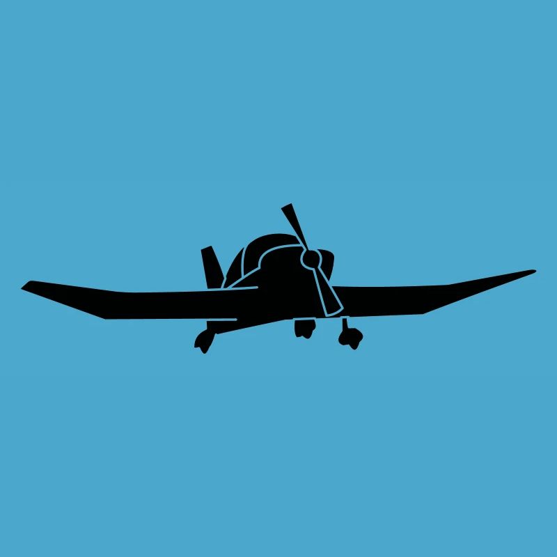 DR400 Robin Flugzeug Geschenk
