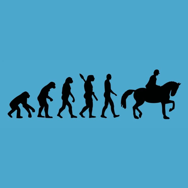 Évolution Cheval