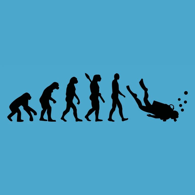 Évolution Plongée