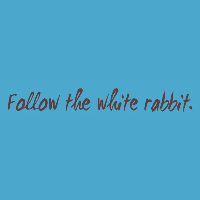 Follow the white rabbit programming gift